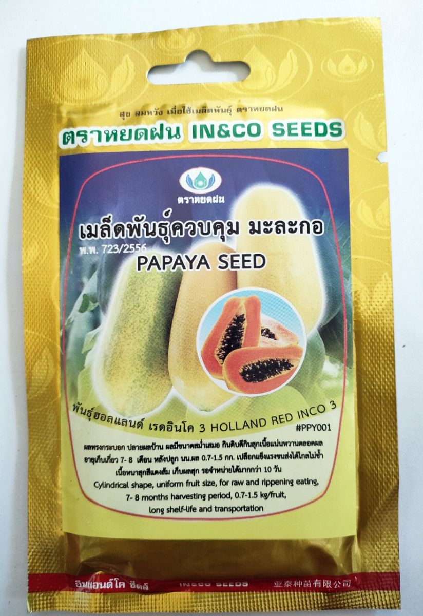 Hạt giống Đu đủ ruột đỏ cam nhập Thái Lan