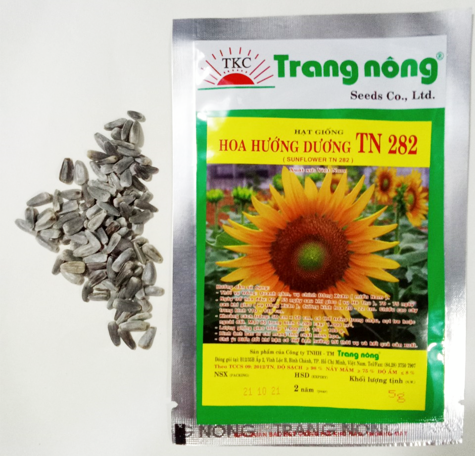 Hạt giống Hoa hướng dương Trang Nông TN 282 - 1