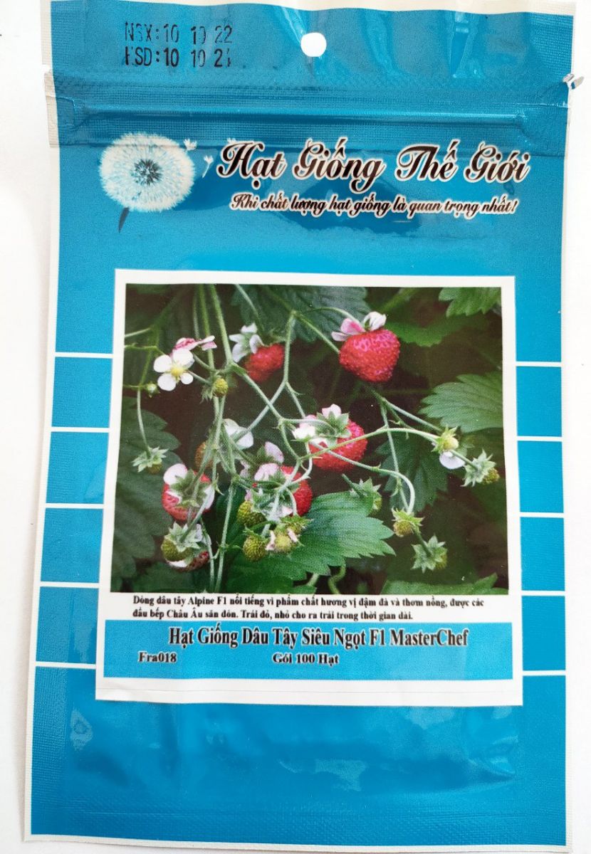 Hạt giống Dâu tây siêu ngọt F1 Master Chef Fra018